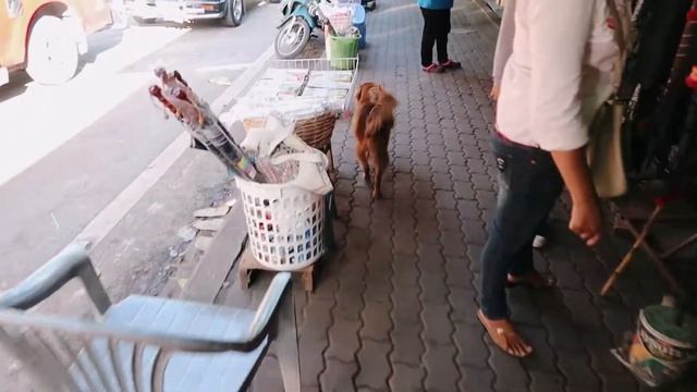 DOI SUTHEP · THE MOST ICONIC PLACE IN CHIANG MAI | TRAVEL VLOG #37 смотреть онлайн