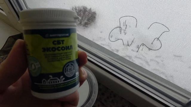 Как вырастить триходерму (Trichoderma viride) на кофейной гуще. Обзор роз на подоконнике. Лилии. смотреть онлайн