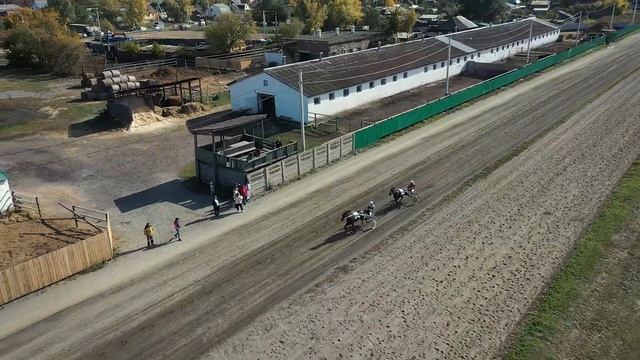 24.09.2022г Абакан Приз « Имени Локотского конного завода» для лошадей 3-х лет Рысистых пород 2400 смотреть онлайн