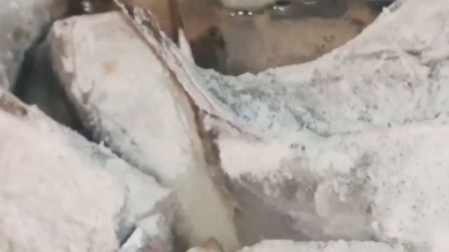 ?Вкуснющая рыбка, #Сайда #рыба #жаримрыбу #готовимдома #полезныйзавтрак ? смотреть онлайн