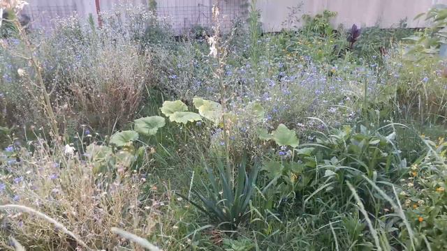 Славянск. 1 июля 2022г. БЕДА смотреть онлайн