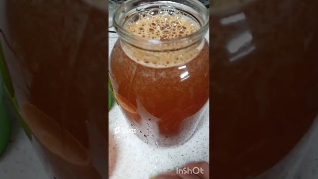 семена Годжи из сухих ягод