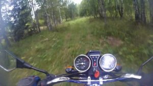 Покатушки На Альфе По Лесу | Встретил Змею