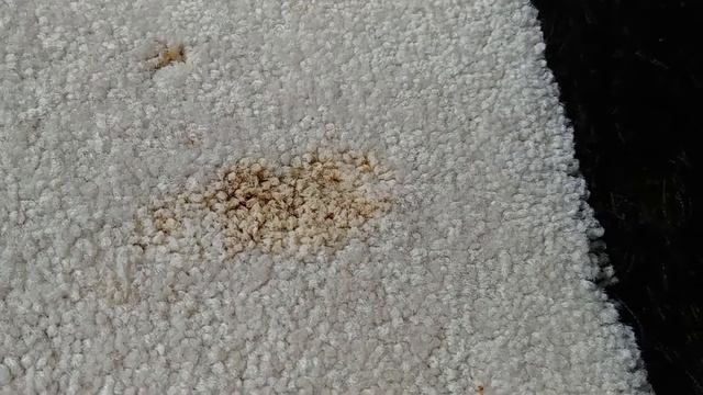 How to clean soy sauce stain from carpet | STAIN FU смотреть онлайн
