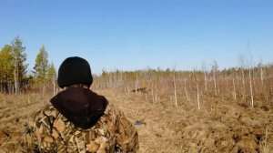 болотоход, трицикл 3