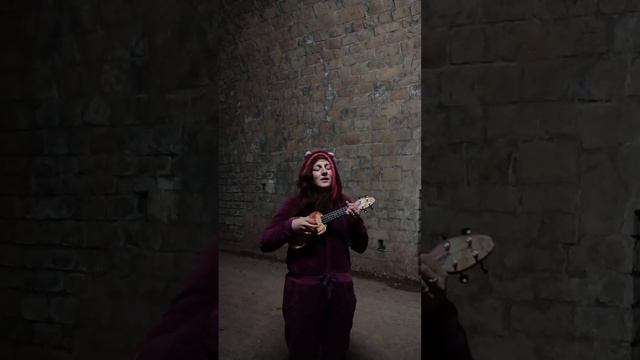 Merle - Jack-Ass (Beck ukulele cover) смотреть онлайн