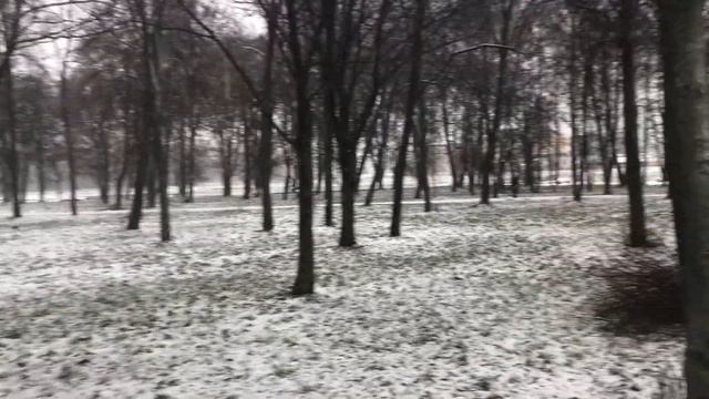 VLOG: Будни молодой мамы. Развивающие игры: рисуем ёлку. Скоро Новый год! смотреть онлайн