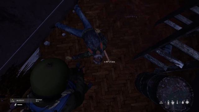 DayZ - Topolin Raid 2x смотреть онлайн