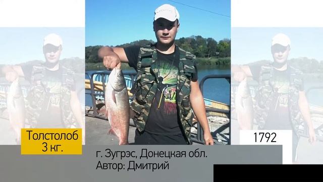 Фотоальбом - Рыбалка №358 смотреть онлайн