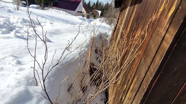 Дача. Измеряем площадь для забора. 17 марта 2023. 3 серия. смотреть онлайн