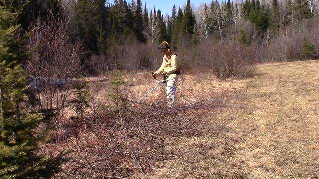 STIHL FS240 BRUSH CUTTER REVIEW - HOW TO USE A BRUSH CUTTER WITH 120 TOOTH RENEGADE BLADE смотреть онлайн