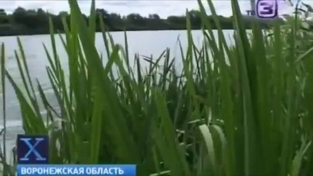 Огромная чупакабра наводит леденящий страх на жителей Придонья1 смотреть онлайн