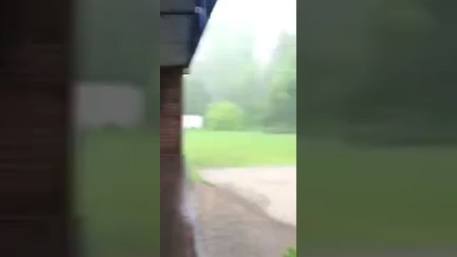 Видео,приколы,юмор,смех смотреть онлайн