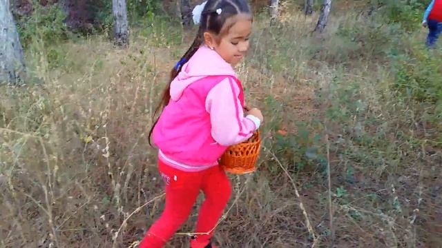 В лес за грибами за рулем L200. Лизка сама едет за рулем в лес собирать грибы. смотреть онлайн