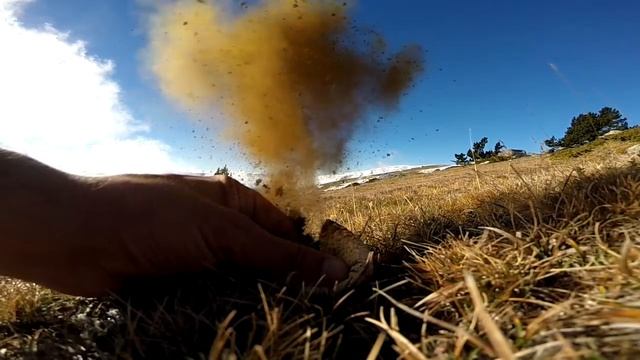 pet de llop 100fps смотреть онлайн