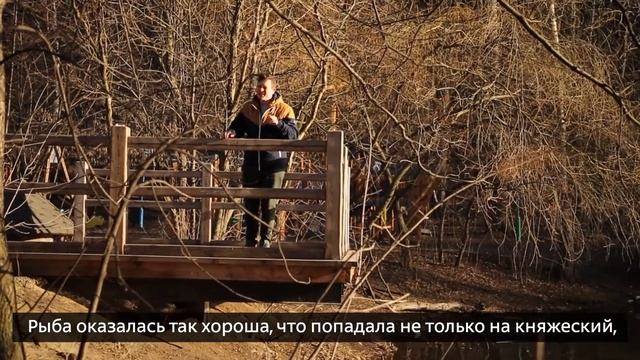 Онлайн-экскурсии по Парку Горького: Андреевские пруды смотреть онлайн