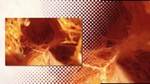 Елена Дединская - Доктор Сон для самых маленьких и даже больших 2000.mp4