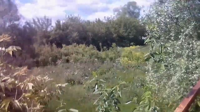Посёлок Зубово смотреть онлайн