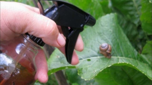 9 СПОСОБОВ ИСПОЛЬЗОВАНИЯ КОФЕЙНОЙ ГУЩИ смотреть онлайн