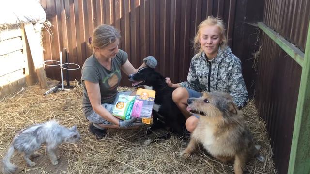 19 августа 2017 г. смотреть онлайн