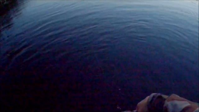 Июль 2020 г. Сплав по реке на "плотике", ловля голавля ночью на спиннинг-"ультралайт". ( C&R ) смотреть онлайн