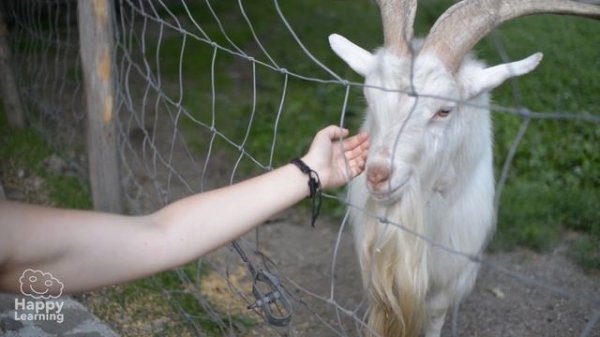 Endangered Species: Animals in Danger of Extinction | LEARNING WITH SARAH | EDUCATIONAL VIDEOS