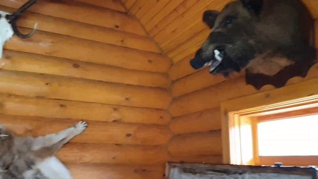 Экскурсия по Белорусскому Полесью. Солигорск-Туров-Лясковичи. смотреть онлайн