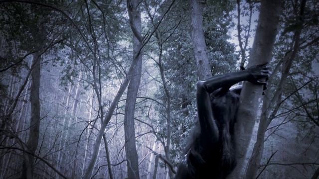 forest demoness смотреть онлайн