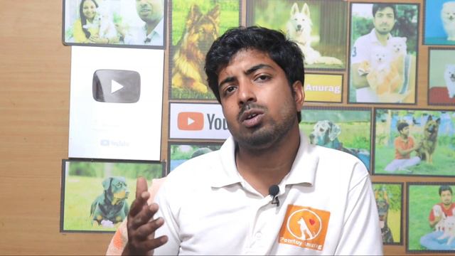 देसी कुत्ता पलना चाहिए या नहीं ? जरूर जानें / смотреть онлайн
