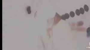 Копюшон Ноу Мо