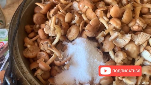 Уборка без лишних забот и напряжения