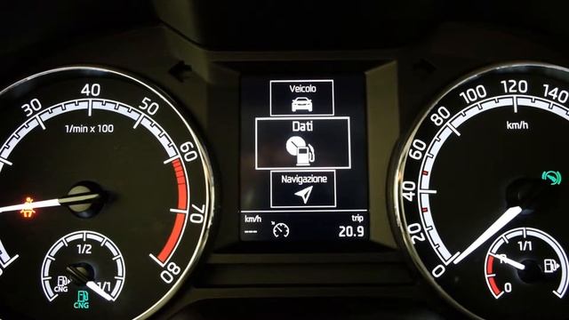 SKODA OCTAVIA 1.5 DSG WAGON G-TEC смотреть онлайн