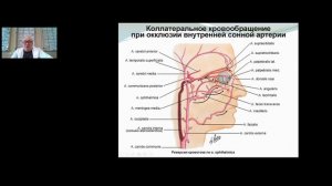 Лекция «Клиническая анатомия мозгового отдела черепа»