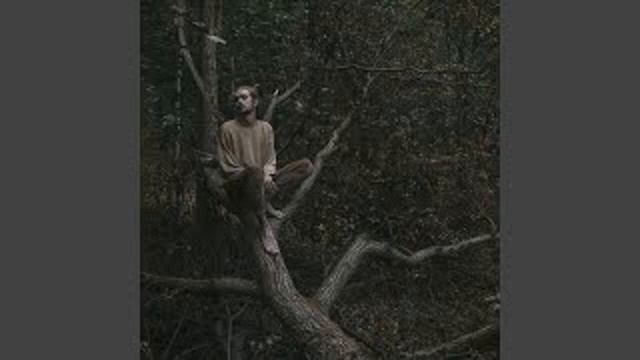 Лампабикт, Элли на маковом поле - Немерено(Я любовь эту буду теплить и вынашивать). смотреть онлайн