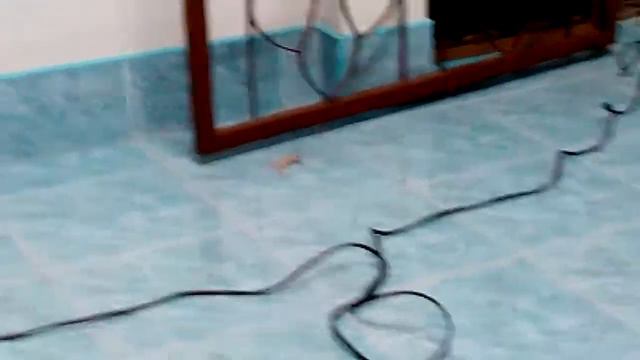 Геконы против Термитов смотреть онлайн