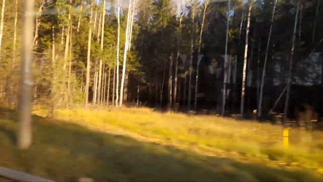 Автобус 84. Пос. Новоселки, карьер - Ж/Д ст. Песочная смотреть онлайн
