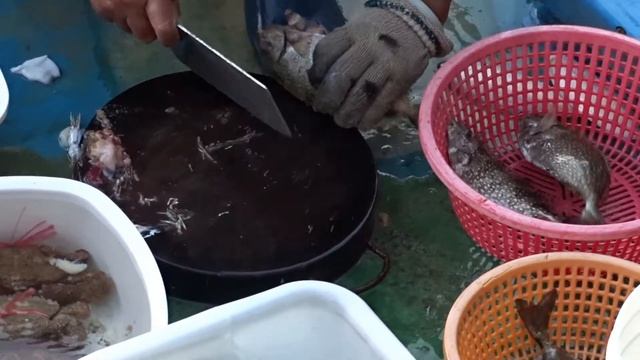 Amazing To Kill Big Siganus Fuscescens With Knife At Floating Seafood Market Of Hong Kong смотреть онлайн