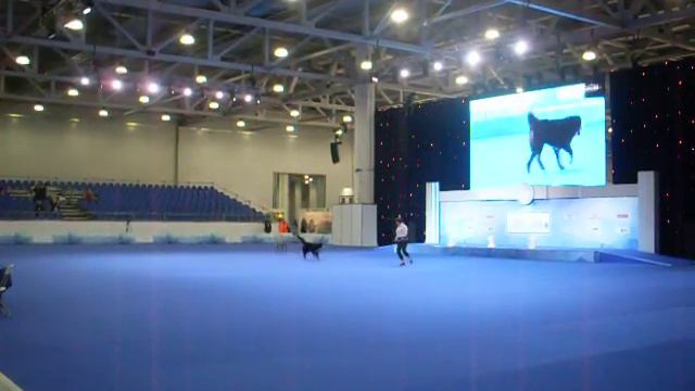 Кругликова Татьяна зенненхунд СОЗВЕЗДИЕ ТАРА ЦЕРРА. смотреть онлайн