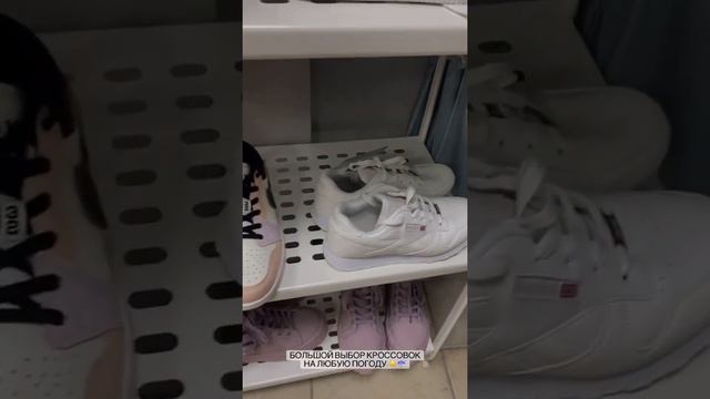 МодНицца одевает города и дарит позитив 🤍 смотреть онлайн