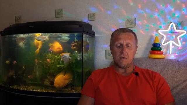 Стихотворение "Немного о любви" смотреть онлайн