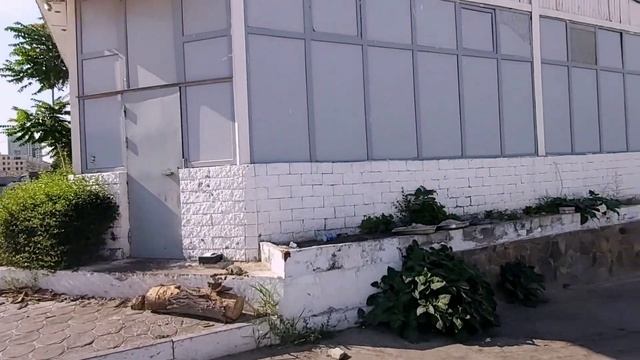 АКТАУ 2021 - бюджетная поездка. ПЦР тест, ЦЕНЫ, Достопримечательности смотреть онлайн