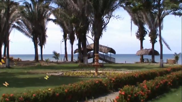 Finca Hotel Palma Vino смотреть онлайн