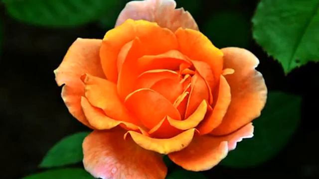 Лучшие русские новинки и видео 2015 смотреть онлайн