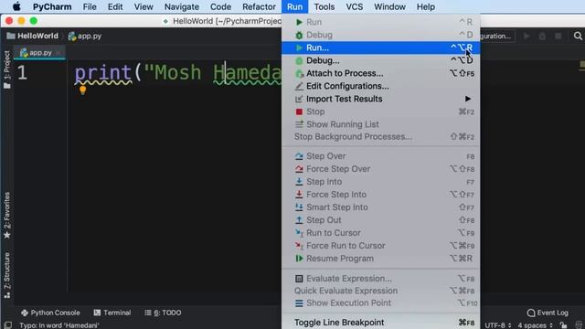 Execute Python Program смотреть онлайн