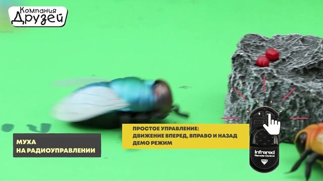 Насекомые на радиоуправлении ТМ Компания Друзей, JB1168271-JB1168273 смотреть онлайн