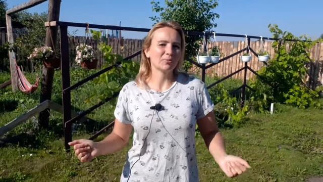 Как начать зарабатывать деньги в онлайн с нуля смотреть онлайн