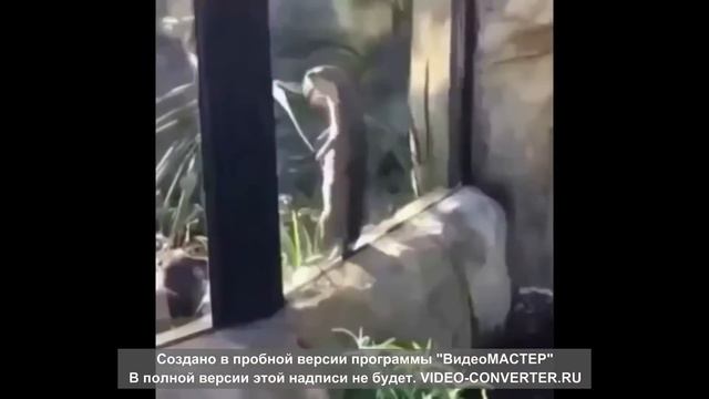 ПРИКОЛЫ УЛЕТНЫЙ ВИДОС С ДЕВУШКАМИ И НЕ ТОЛЬКО смотреть онлайн
