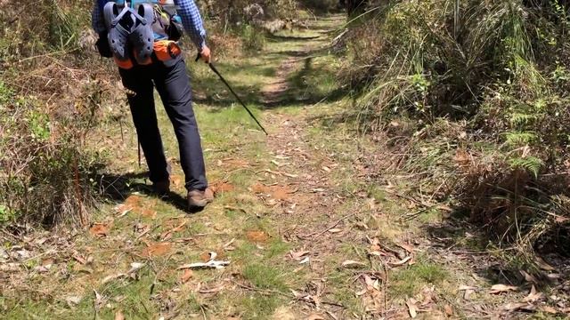 The Great South West Walk (GSWW) - Portland to Nelson смотреть онлайн