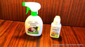 Трипсы исчезли с цветов от одной обработки! Трипсы, как избавиться быстро | flowersecrets