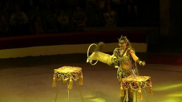 Circus. Funny cats. Цирк.Кошки. смотреть онлайн